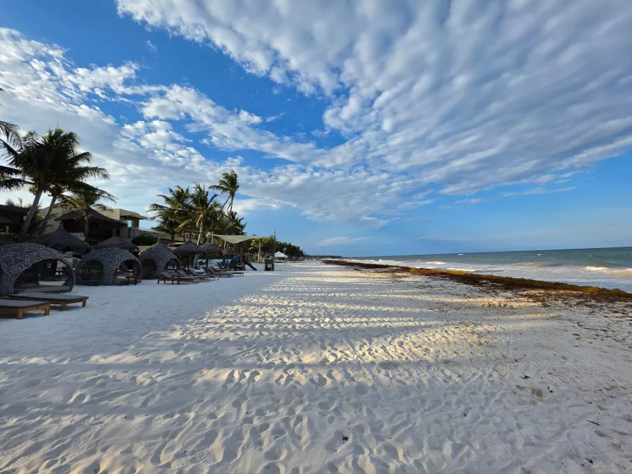 Plaża w Tulum