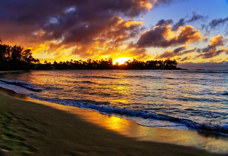 Turtle Bay