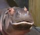 Petr _69