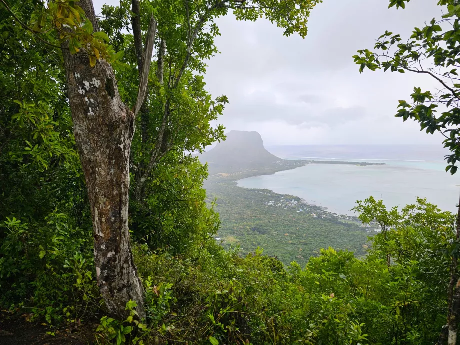 Hebanowy Las, widok na Le Morne