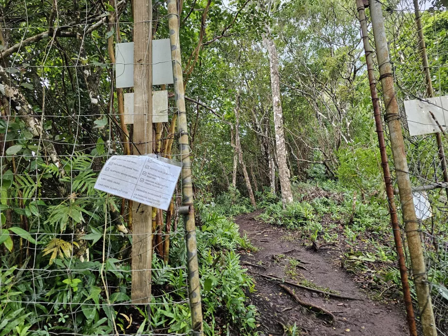 Wejście na Piton du Canot