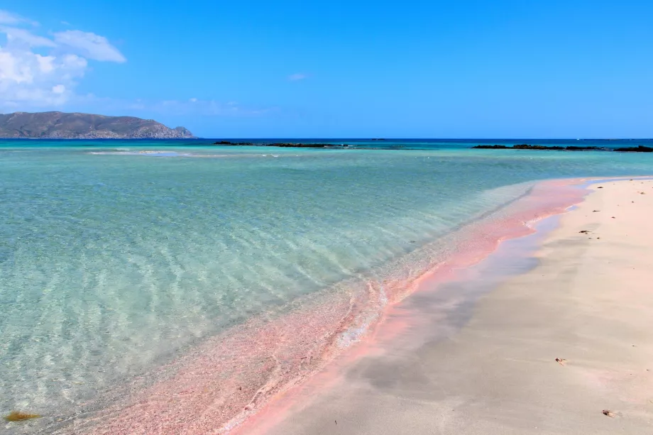 Różowy piasek na plaży Elafonisi
