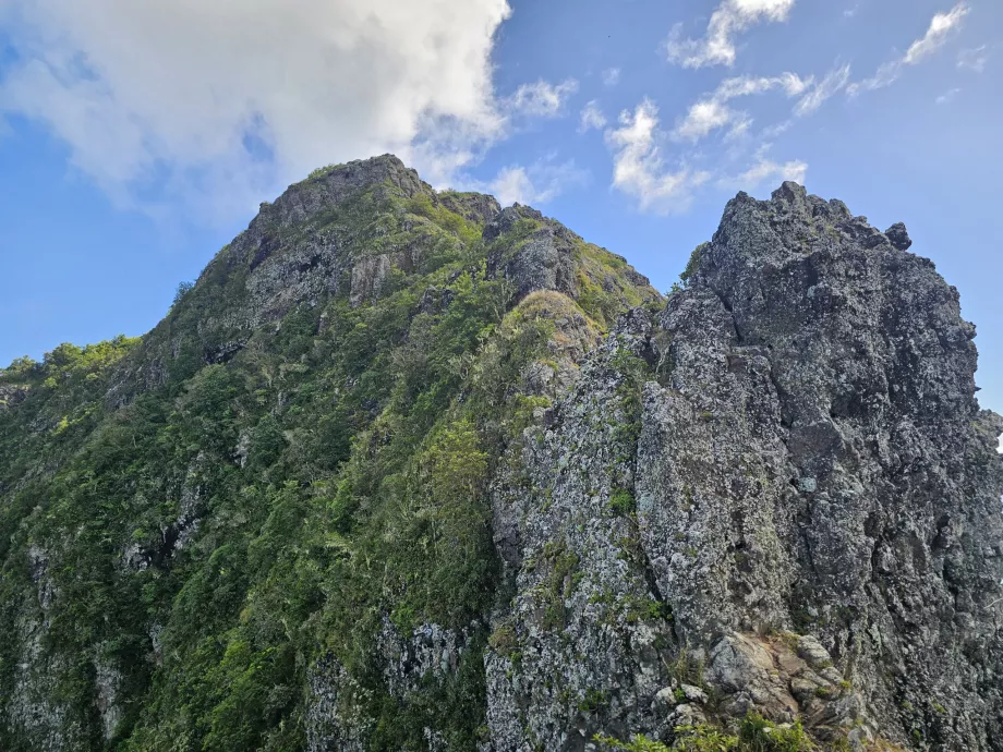 Prawdziwa atrakcja Le Morne