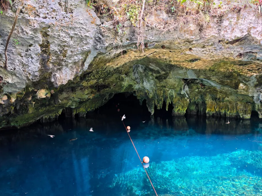 Gran Cenote