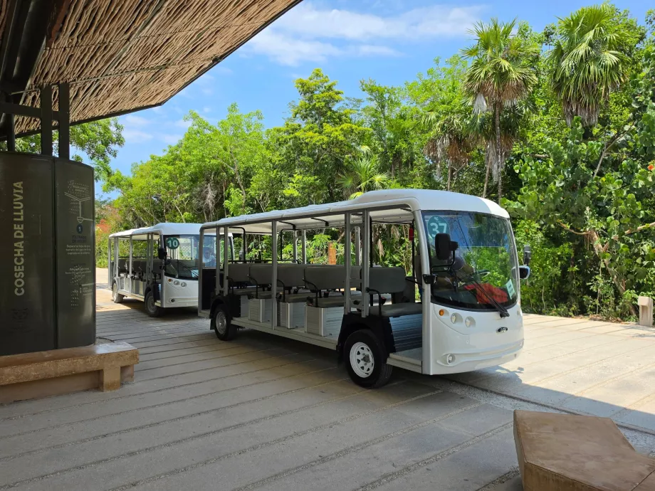 Stanowisko archeologiczne w Tulum, transport autobusem elektrycznym