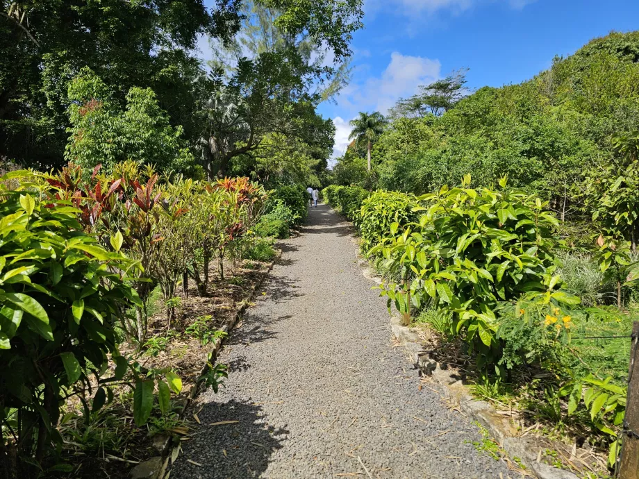 Saint Aubin, ogród botaniczny