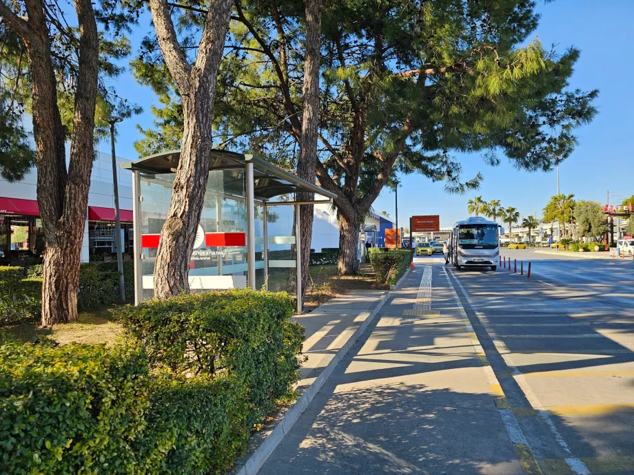 Przystanek autobusu miejskiego przed Terminalem 1