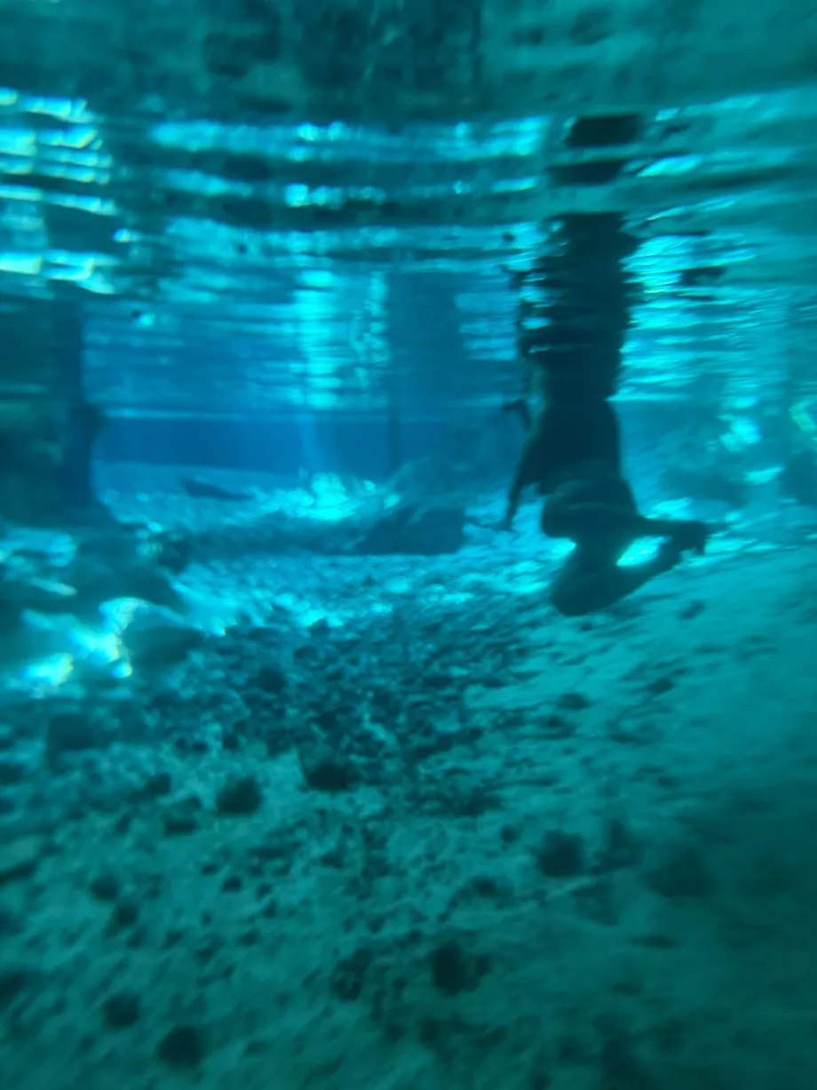 Widok pod wodą w Gran Cenote