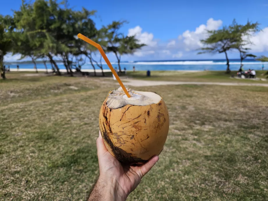 Kokos na plaży