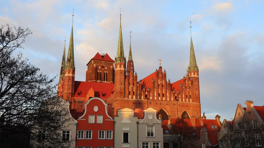 Katedra w Gdańsku