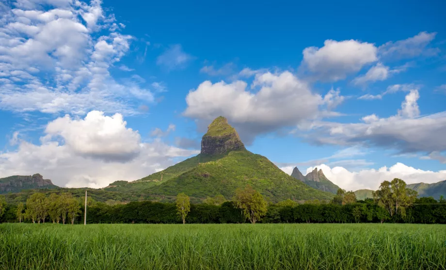 Góry Mauritiusa