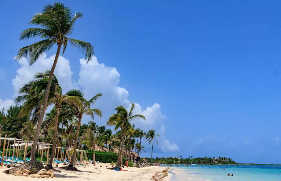 Plaża w Akumal