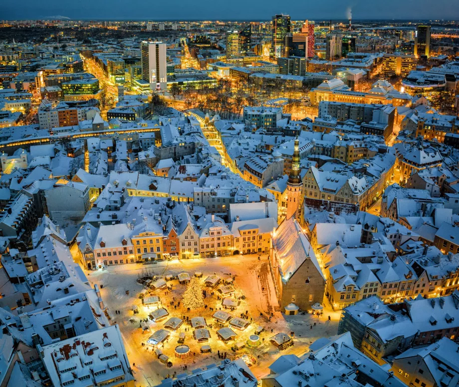 Zimowy Tallinn