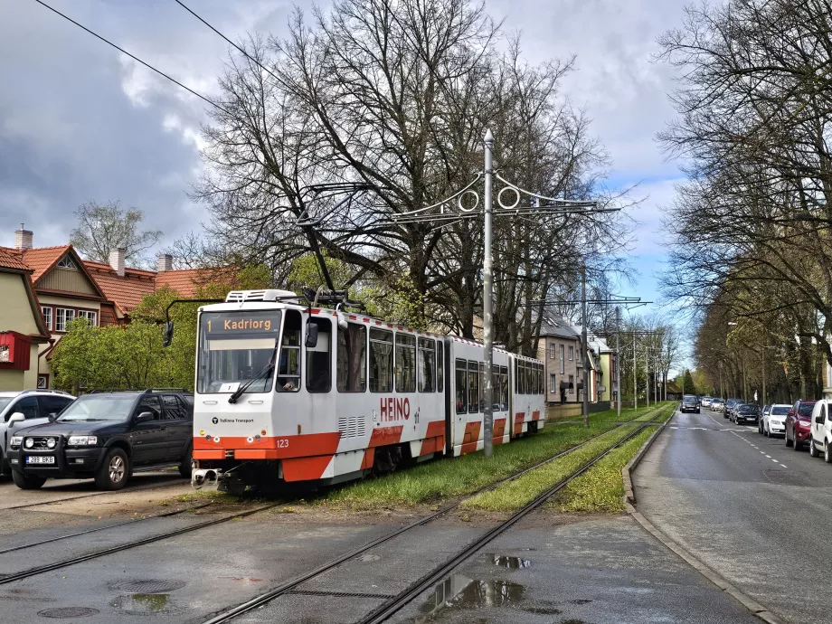 Tramwaj w Tallinie