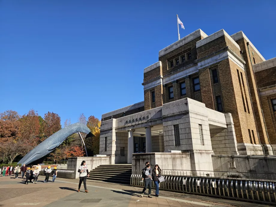 Muzeum Historii Naturalnej