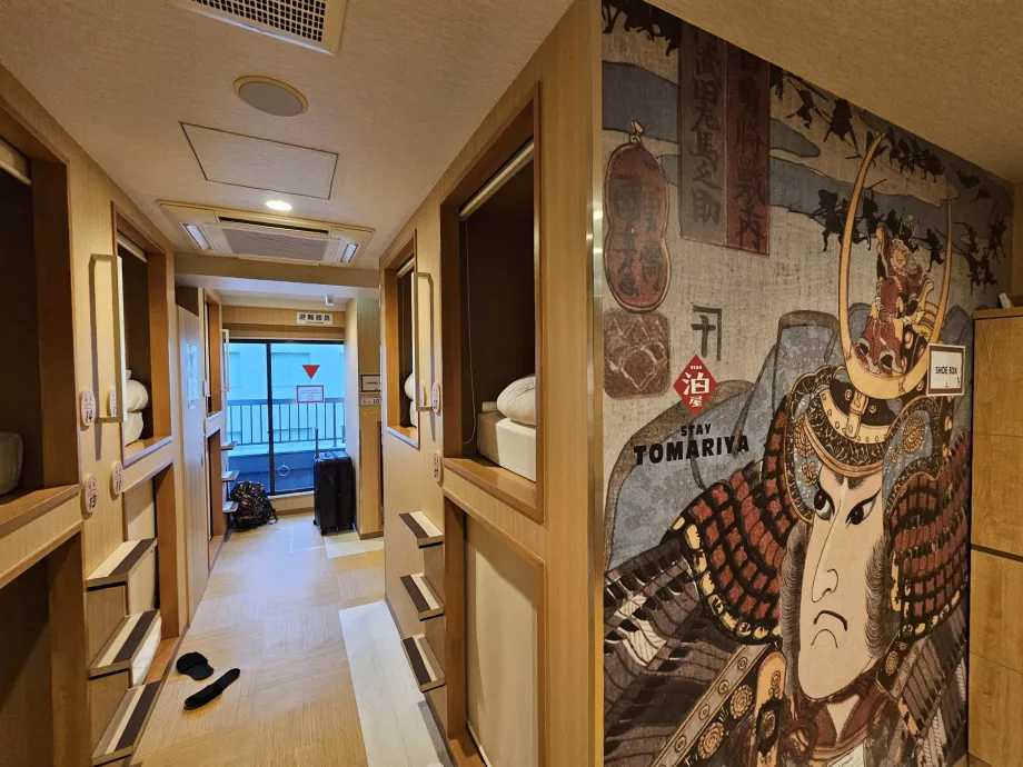 Obszar wspólny i kapsuła powyżej