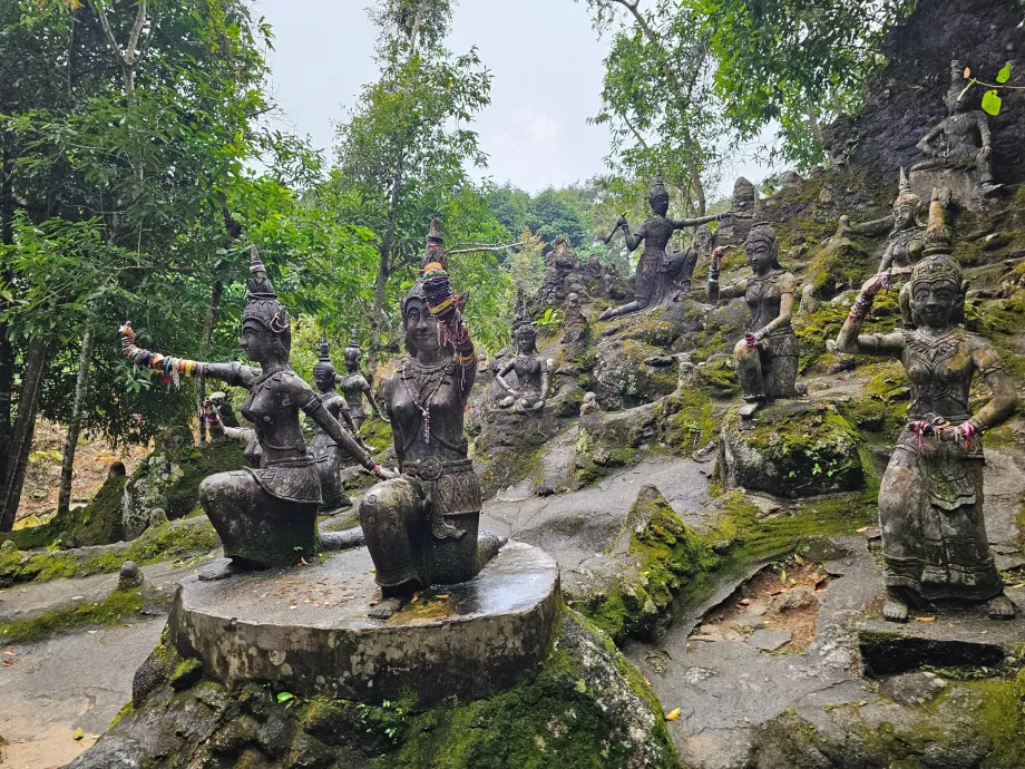 Magiczny ogród Tamrin