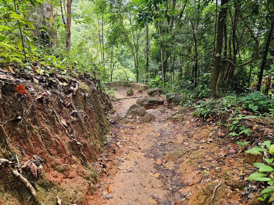 Droga do wodospadu Namuang 2