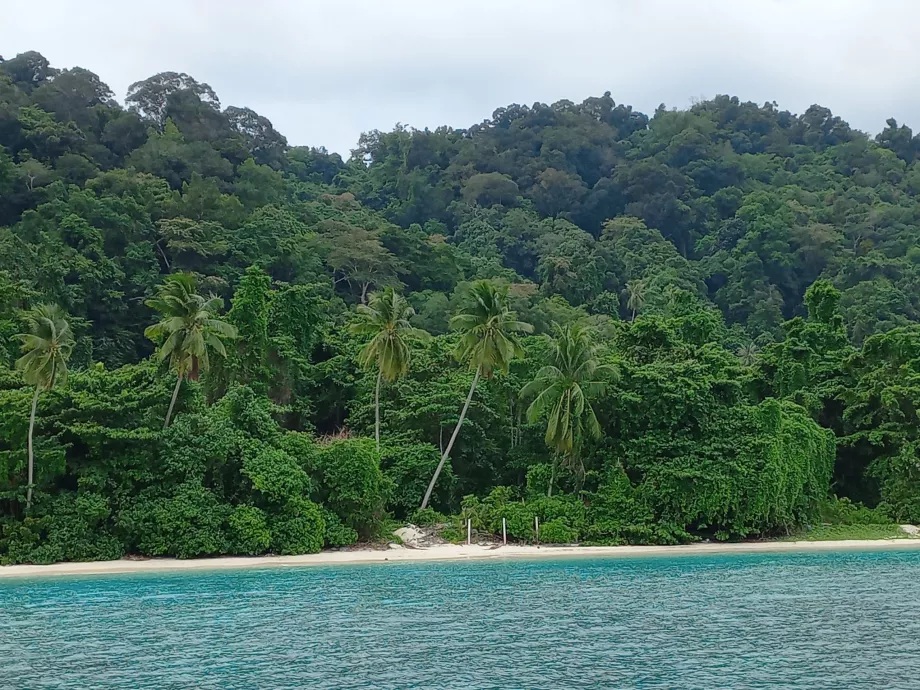 Plaża Teluk Pauh, Perhentiany, Malezja