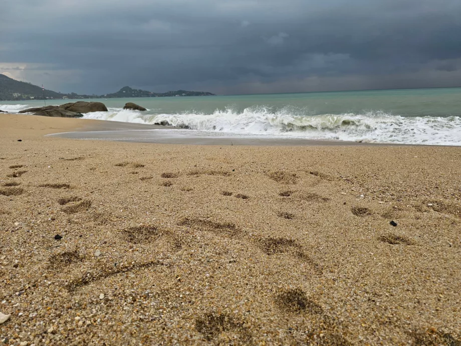 Grubszy piasek w południowej części plaży Lamai