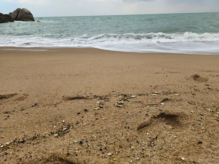 Plaża Coral Cove, jakość piasku