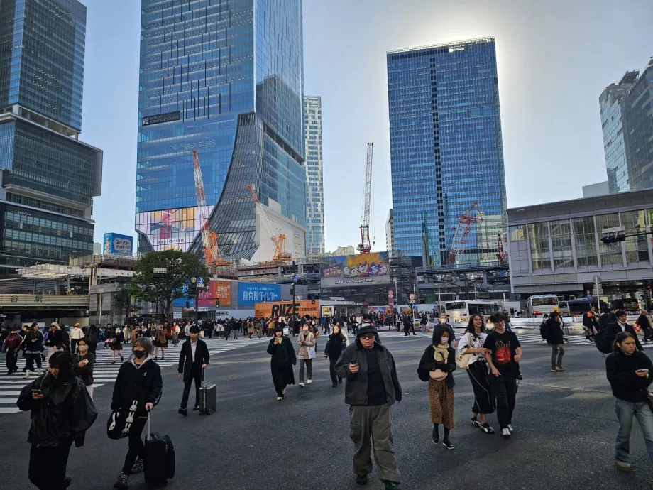 Shibuya Junction za dnia