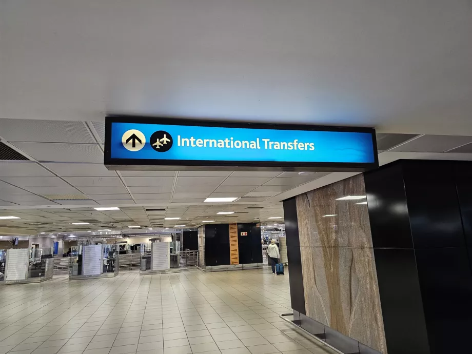 Transfer międzynarodowy
