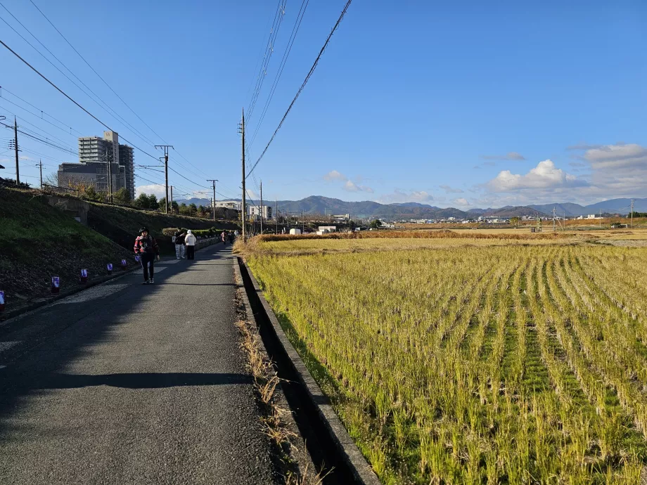 Spacer ze stacji do łodzi