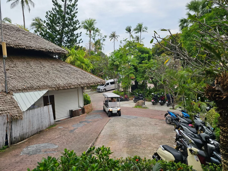 Parkowanie skuterów