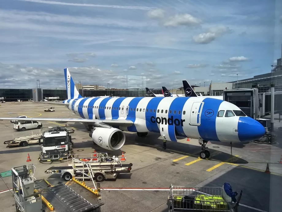Niebieski Airbus A320 Condor