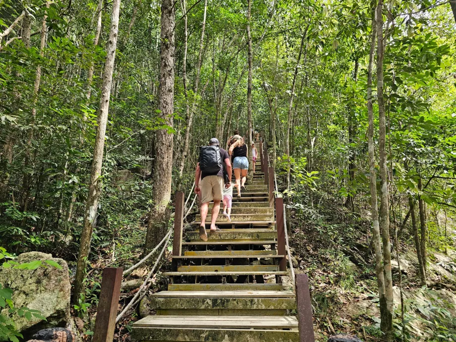 Droga do wodospadów