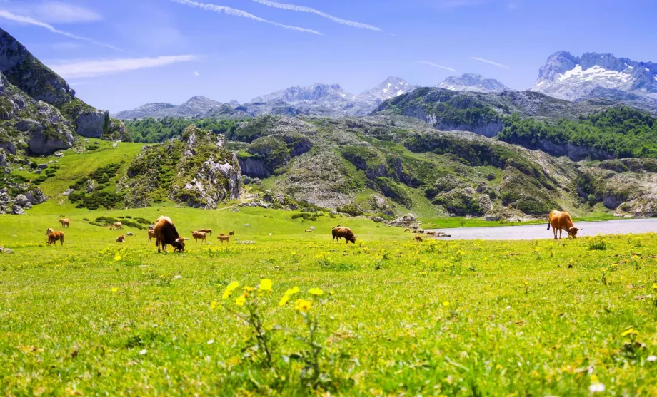 Asturia