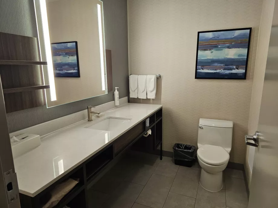 Hilton Garden Inn, łazienka
