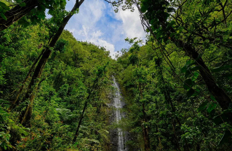 Wodospad Manoa
