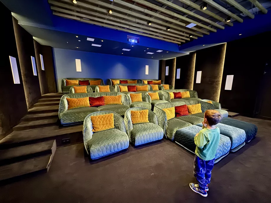 Kino Swissotel Damian Jasna