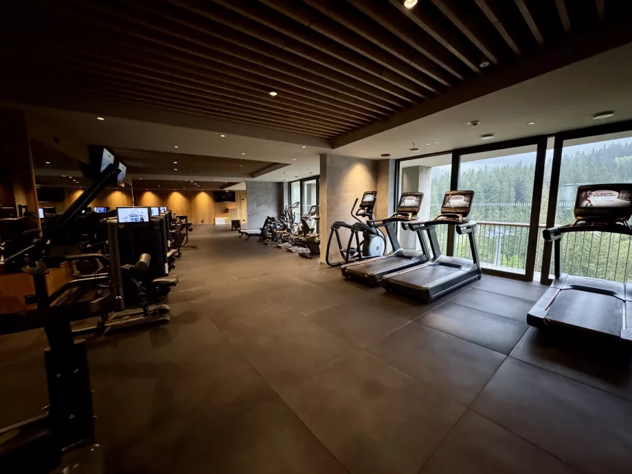 Centrum fitness Swissotel Damian Jasna