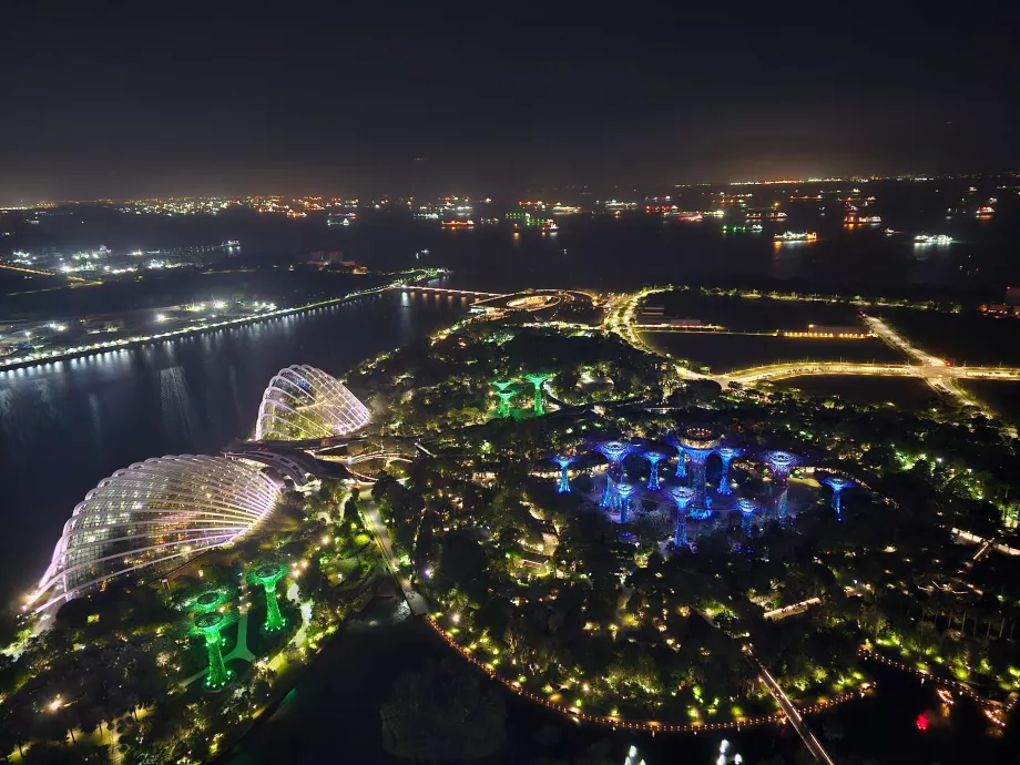 Nocny widok na Gardens by the Bay