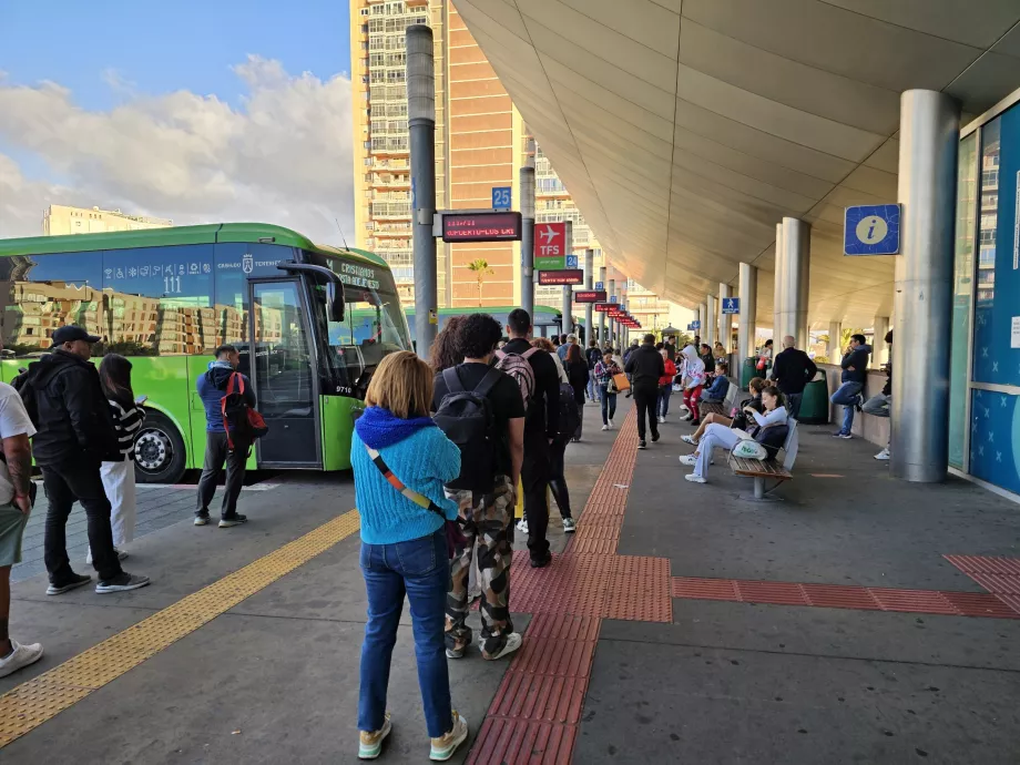 Kolejka autobusowa na lotnisko TFS