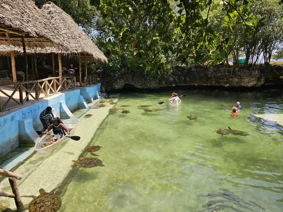 Nungwi, Akwarium Mnarani