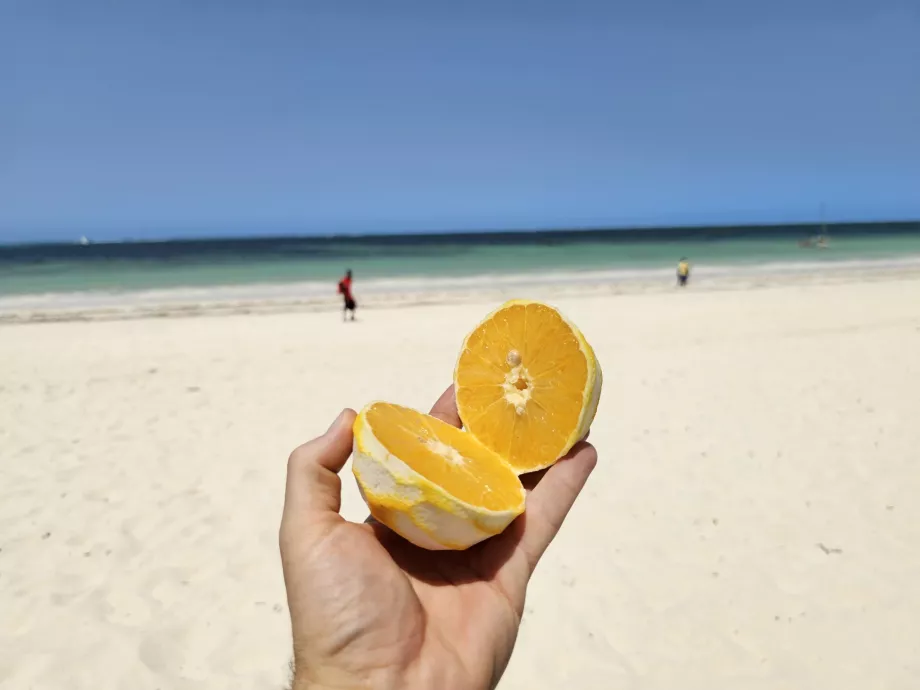 Pomarańczowy na plaży Kiwengwa