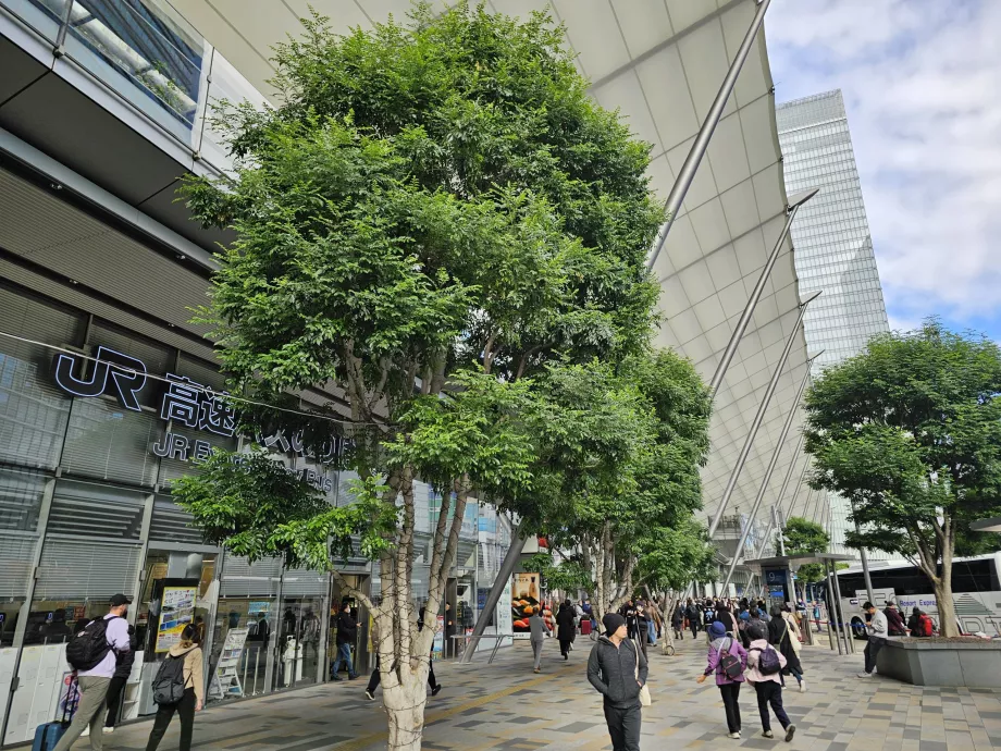 Główny dworzec autobusowy w Tokio