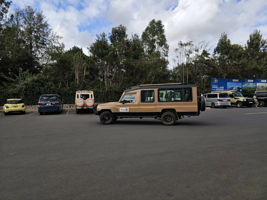 Transfery na safari