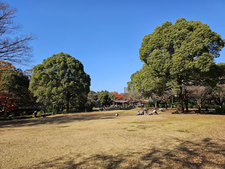 Park Kitanomaru