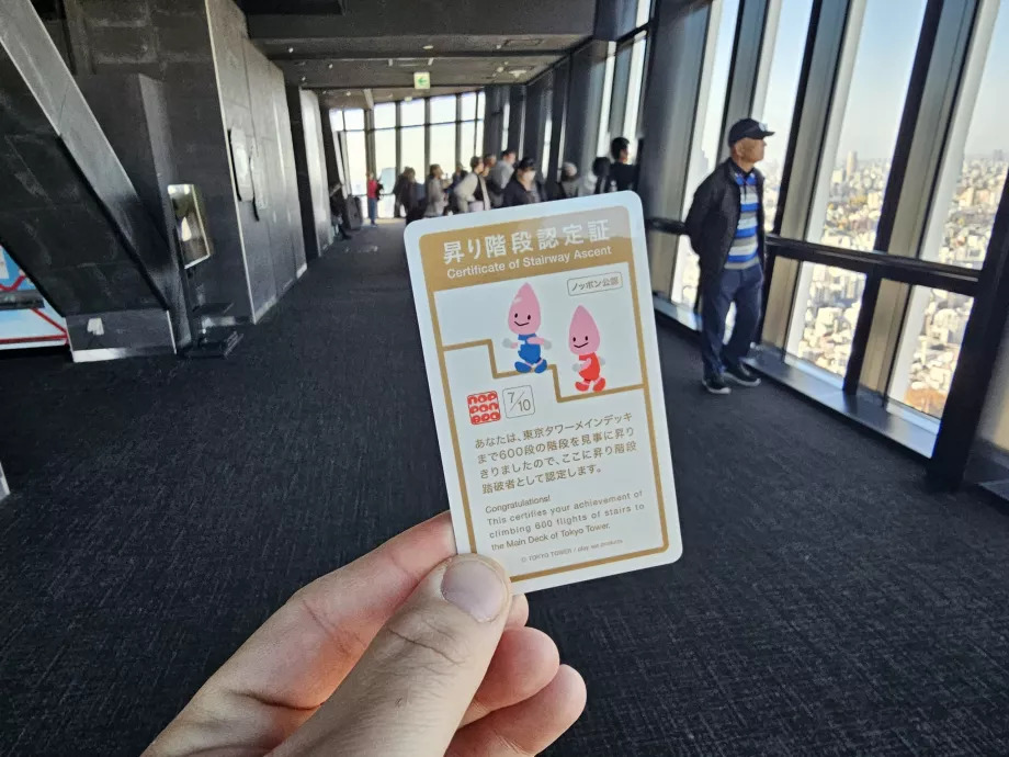 Certyfikat po wejściu po schodach