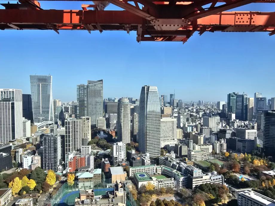 Widok z najwyższego piętra