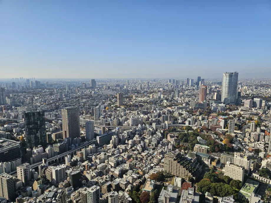 Widok z najwyższego piętra