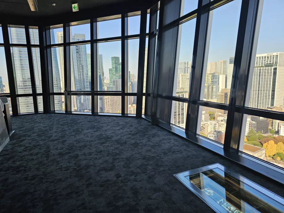 Główna platforma obserwacyjna