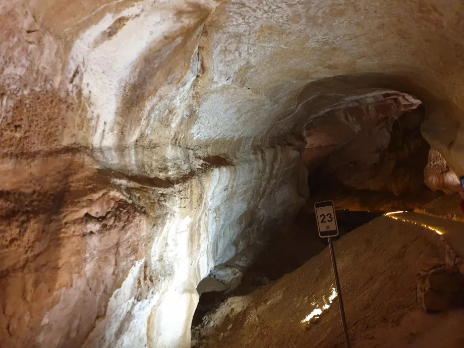 Jaskinia Mammoth Cave, Steffen 962 / Wikimedia Commons, CC BY-SA 4.0