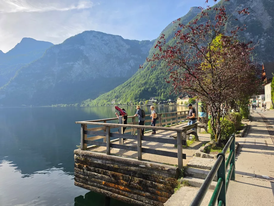 Promenada prowadząca z centrum miasta do obszaru nad rzeką Lahn