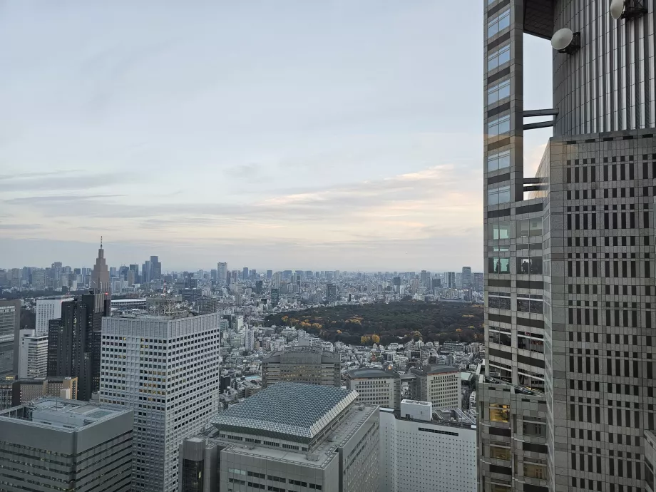 Budynek rządu metropolitalnego Tokio